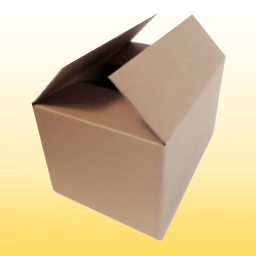 40 Karton 44,5 cm x 31,5 cm x 26,5 cm (LxBxH)